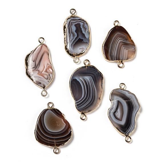 Natural Botswana Agate Slices Links Connectors Links, with Golden Tone Brass Findings, Mixed Color, Mixed Shapes