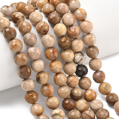 Природные окаменелое дерево бисер пряди, граненый (128 граней), круглые