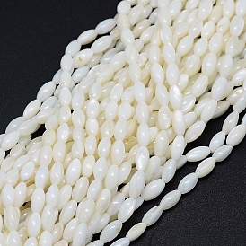 Brins de perles de coquillage naturel teint, ovale