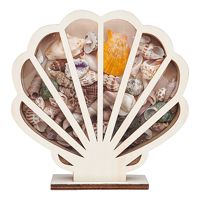 Ящики для хранения из липовой фанеры в форме ракушки с видимым окном, настольная декоративная витрина для мелких предметов