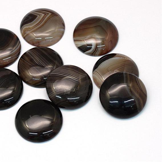 Gefärbte natürliche gestreifte Achat-Cabochons, halbrund / Dome, 30~31x6~8 mm