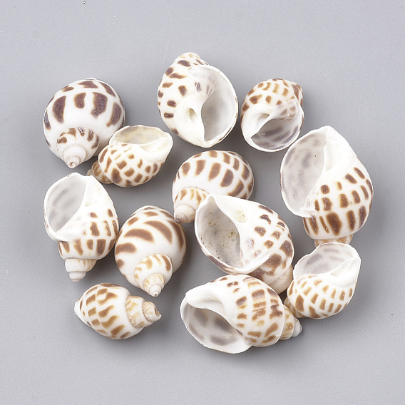 Spiral Shell Beads, No Hole/Undrilled