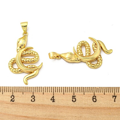Brass Pendants, Snake with Moon