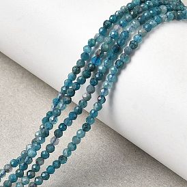 Природного апатита нитей бисера, граненые, круглые