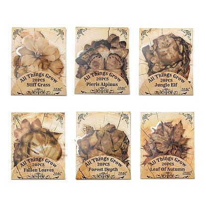 Набор водонепроницаемых наклеек для домашних животных, декоративные наклейки, для бутылок с водой, портативный компьютер, багаж, чашка, компьютер, мобильный телефон, скейтборде, гитарные наклейки