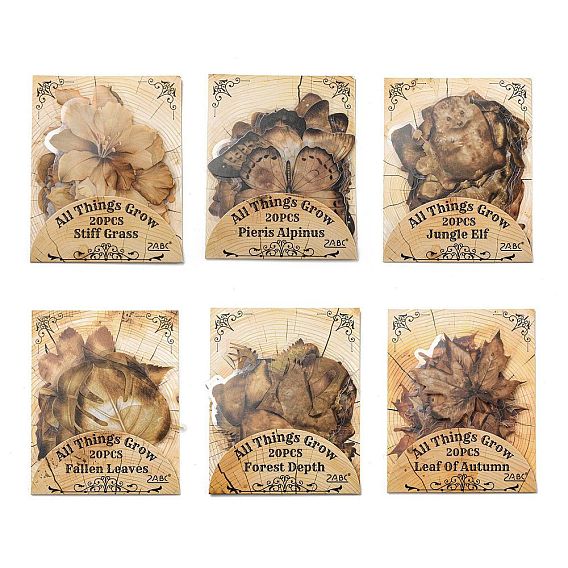 Набор водонепроницаемых наклеек для домашних животных, декоративные наклейки, для бутылок с водой, портативный компьютер, багаж, чашка, компьютер, мобильный телефон, скейтборде, гитарные наклейки