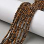 Природных тигровый глаз бисер нитей, граненые, круглые