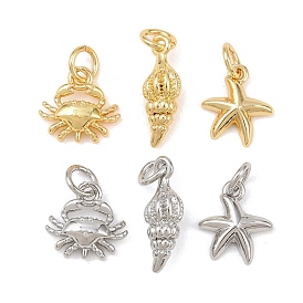 Латунь прелести, с целью перехода в кольце, морская тема