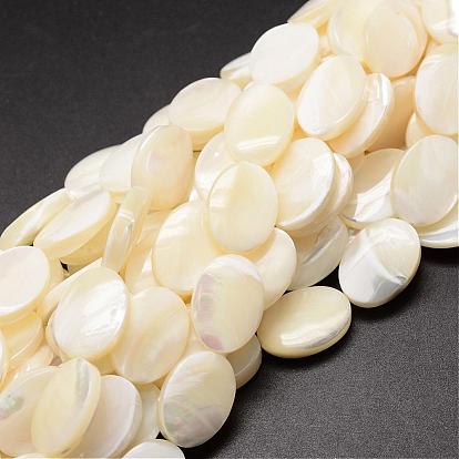 Brins de perles de coquille de trochid / trochus shell, ovale
