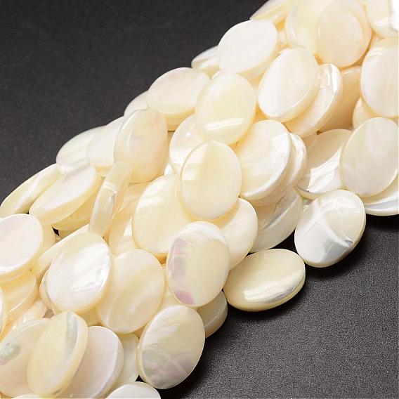 Brins de perles de coquille de trochid / trochus shell, ovale