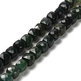 Natural Moss Agate Beads Strands, Faceted, Cube