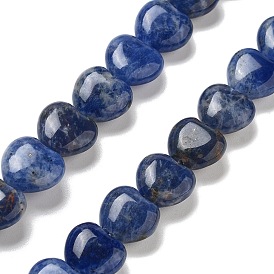 Natural Sodalite Beads Strands, Heart