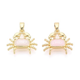 Латунь эмаль подвески, крабовые прелести, реальный 18 k позолоченный