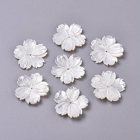 Cuentas de concha natural de blanco, cuentas de concha de nácar, sakura