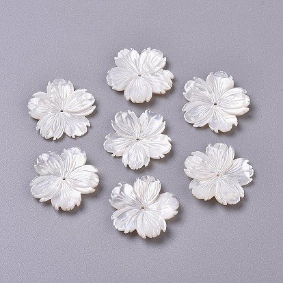Cuentas de concha natural de blanco, cuentas de concha de nácar, sakura