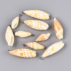 Brass & Natural Mitra Shell Big Pendants, Conch Charms