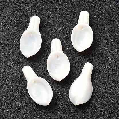 Natural Freshwater Shell Pendants, Leaf