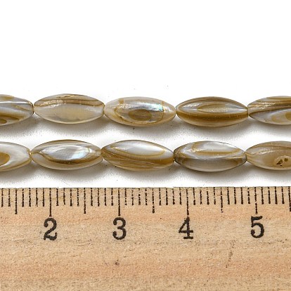 Natural Freshwater Shell Beads Strands, Rice