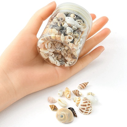 12 Styles Natural Mixed Shell Beads, No Hole/Undrilled, for DIY Art Craft