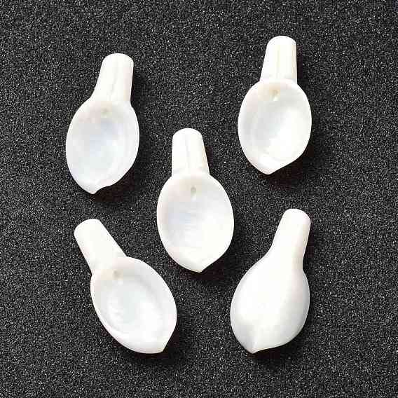 Natural Freshwater Shell Pendants, Leaf