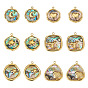 12Pcs 6 Styles 304 Stainless Steel Pave Natural Paua Shell Pendants, Flat Round Charms, Real 18K Gold Plated