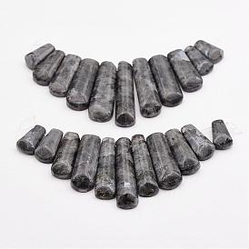 Natural Larvikite Beads Strands, Graduated Fan Pendants, Focal Beads