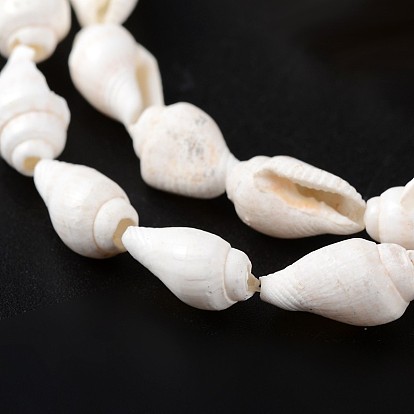 Natural Sea Shell Conch Bead Strands, 5.5~12.5mm, Hole: 1~2mm, about 144pcs/strand, 58.3 inch