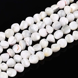 Натуральная оболочка из трохидных оболочек, самородки