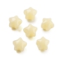 Opaque Acrylic Beads, Star