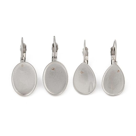 316 из нержавеющей стали выводы Leverback серьги