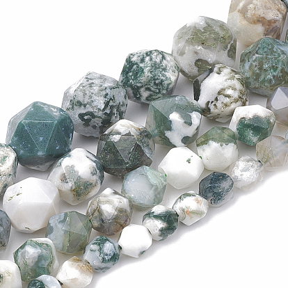 Natural Tree Agate Beads Strands, Star Cut Round Beads, Faceted