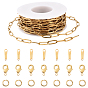 Наборы для самостоятельного изготовления цепочек/браслетов, Включая 304 цепочки из нержавеющей стали в виде скрепок, застежки для цепочек и открытые соединительные кольца., Карабин-лобстеры, латунные