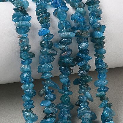 Natural Blue Apatite Beads Strands, Chip