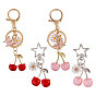 4 шт. 4 стили подвесные украшения из вишневой смолы и сплава, с металлическими застежками