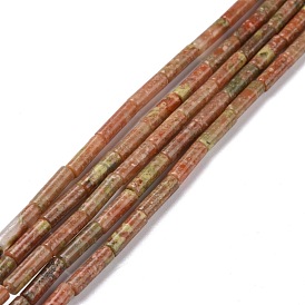 Natural Unakite Beads Strands, Column