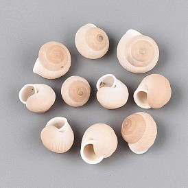 Natural Spiral Shell Display Decorations, for Fish Tank Aquarium Ornaments, Conch Shape