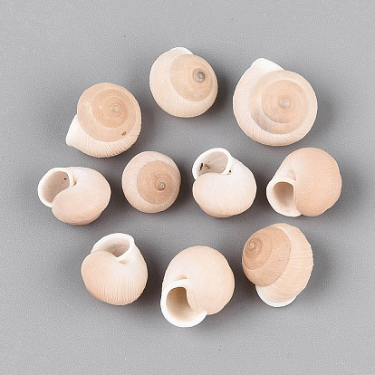 Natural Spiral Shell Display Decorations, for Fish Tank Aquarium Ornaments, Conch Shape