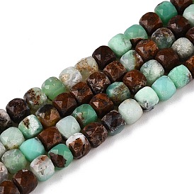 Natrual Green Opal Beads Strands, Faceted, Cube