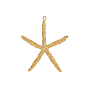304 из нержавеющей стали большие кулоны, прелести морская звезда, ионное покрытие (ip)
