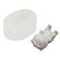 Sleeping Cat Food Grade Silicone Molds, Fondant Molds, Resin Casting Molds, for Chocolate, Candy, UV Resin & Epoxy Resin Decoration Making