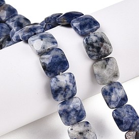 Natural Blue Spot Jasper Beads Strands, Faceted, Faceted Square