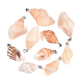 Natural Spiral Shell Pendants, Conch Shape Charms, with Brass Findings