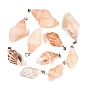 Natural Spiral Shell Pendants, Conch Shape Charms, with Brass Findings