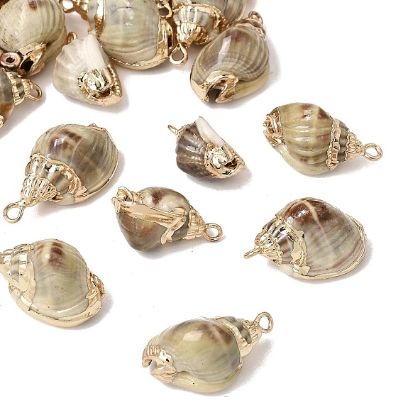Brass & Natural Shell Pendants, Conch Shape Charms, with Golden Plated Edge