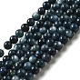 Natural Freshwater Shell Beads Strands, Round, Dyed