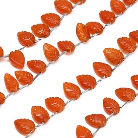 Hilos de cuentas talladas de cornalina natural, hoja, superior perforado, con la borla