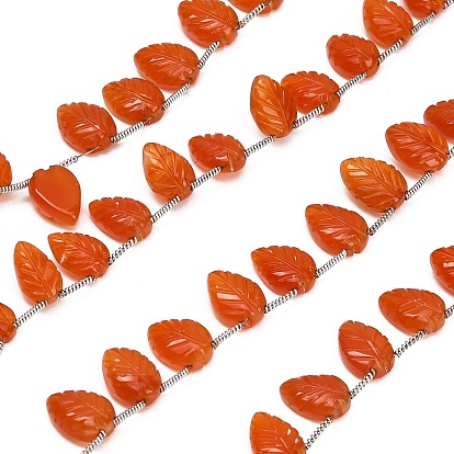 Hilos de cuentas talladas de cornalina natural, hoja, superior perforado, con la borla