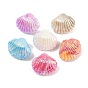 Непрозрачные акриловые бусины с УФ-покрытием, радужный, формы раковины