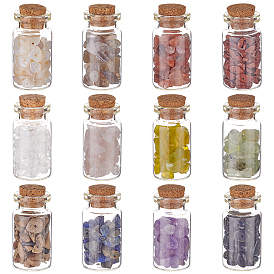 PandaHall Elite DIY 144g 12 Style Beads Set, Including Natural Mixed Gemstone Chip Beads, Shell Beads