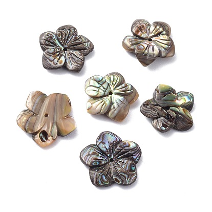 Natural Abalone Shell/Paua Shell Pendants, Flower